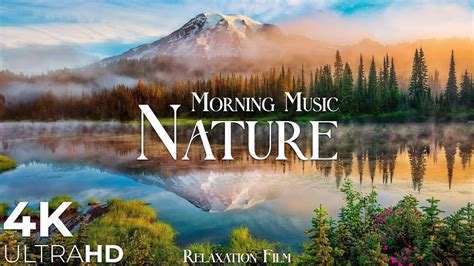 most satisfying videos|The Most Relaxing YouTube Videos: 9 Soothing YouTube Videos .